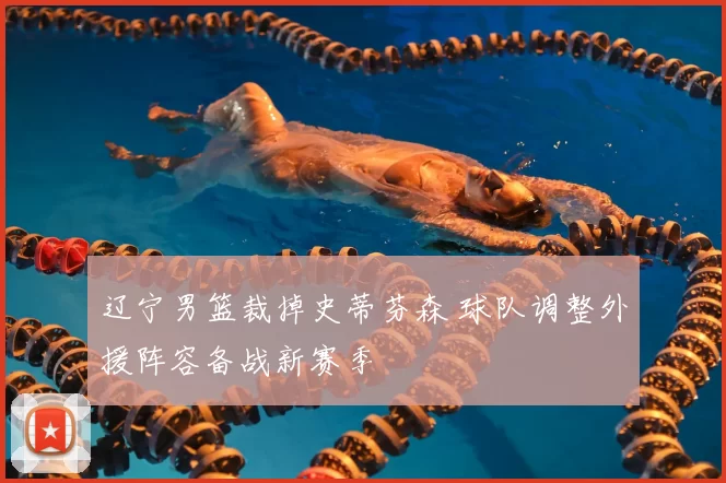 辽宁男篮裁掉史蒂芬森 球队调整外援阵容备战新赛季